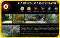 Go to the Chelsea Gardens website