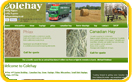 go to the Colehay website